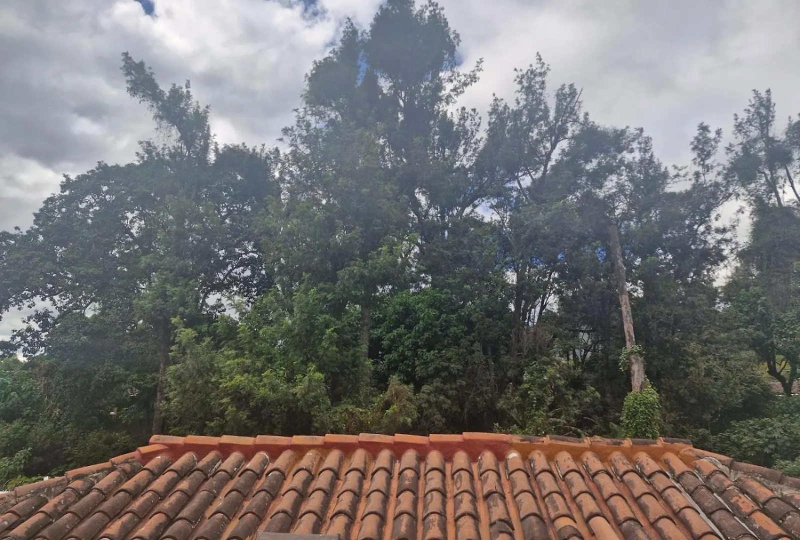 הוילה Beautiful Colonial House In Antigua Guatemala הונדורס